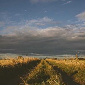 Meet your Posher, Donald